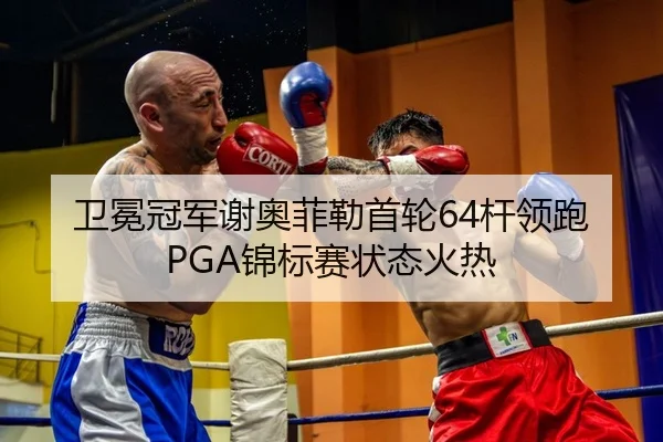 wei-mian-guan-jun-xie-ao-fei-lei-shou-lun-gan-ling-pao-jin-biao-sai-zhuang-tai-huo-re-1-149.jpg